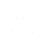 XING